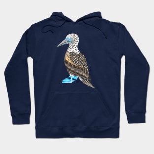 Blue Footed Booby Totem Animal Hoodie